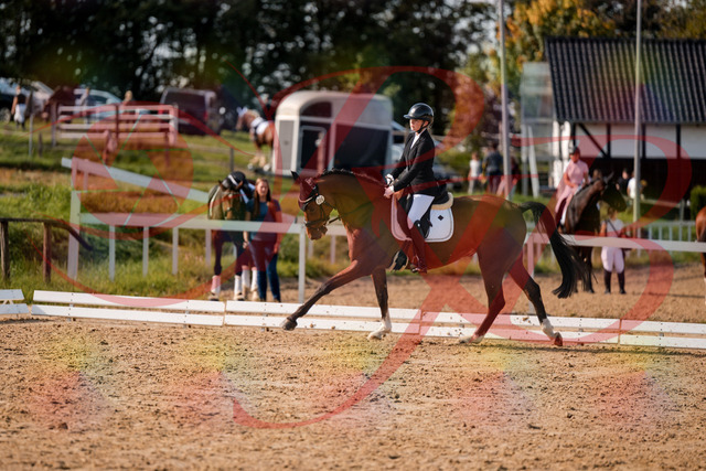 2026_10_03_Siefer-Hof_131710_Z63_78610117 | Professionelle Reitsport-, Turnier- und Eventfotografie von Robert Broda. Galerien mit ausgewählten und bearbeiteten Bildern direkt online ansehen und bestellen.