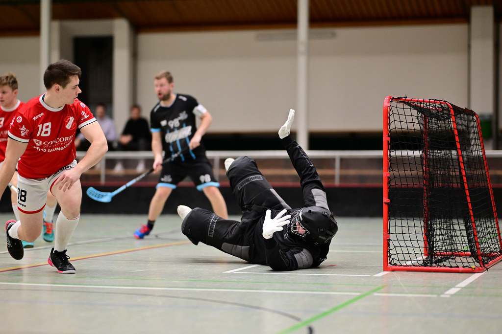 Floorball I Herren I Saison 2024-2025 I 2. FBL Herren Nord-West I 9. Spieltag I MTV Mittelnkirchen - TSV Tollwut Ebersgöns | Der Sportfotograf. - Realisiert mit Pictrs.com