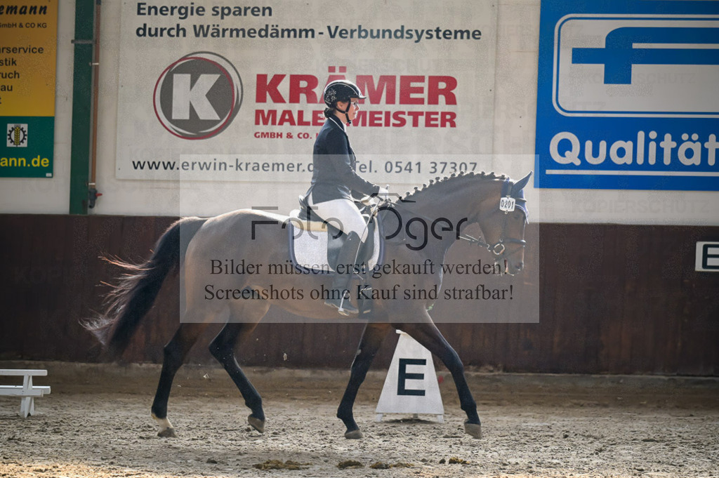Reitturnier Voxtrup | Entdecke hochwertige Reitturnierfotos von Foto Oger. Professionell, emotional und authentisch – jetzt Lieblingsmomente im Shop bestellen.Deutschlandweite Turnierfotografie. - Realisiert mit Pictrs.com