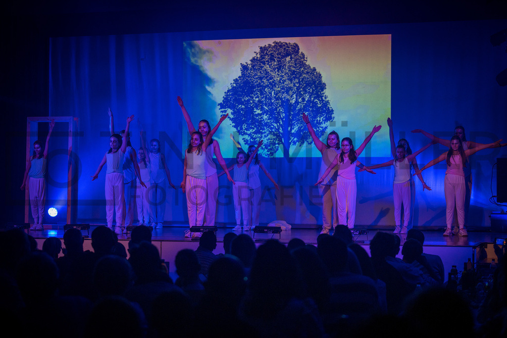 _DSC2284 | Tinu Müller Fotografie- Bildershop - Realisiert mit Pictrs.com