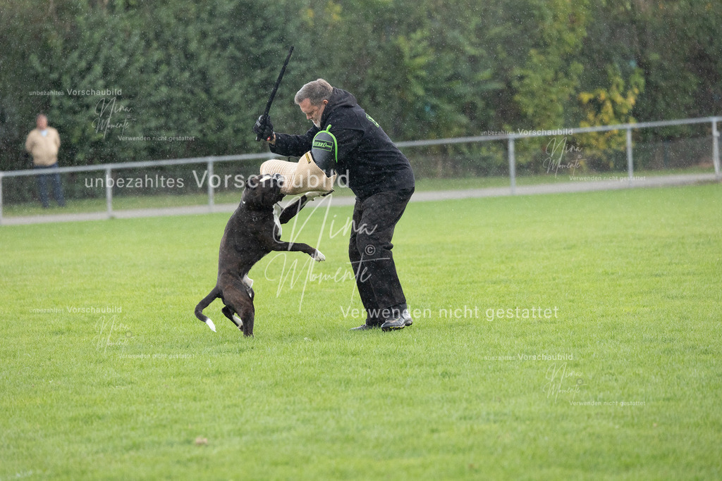 _16A7162 | Einzigartige Fotos von Hunden & Menschen –Actionfotos, Portraits, Vereinsaufnahmen & Paarshootings – authentisch, lebendig & mit Herz.