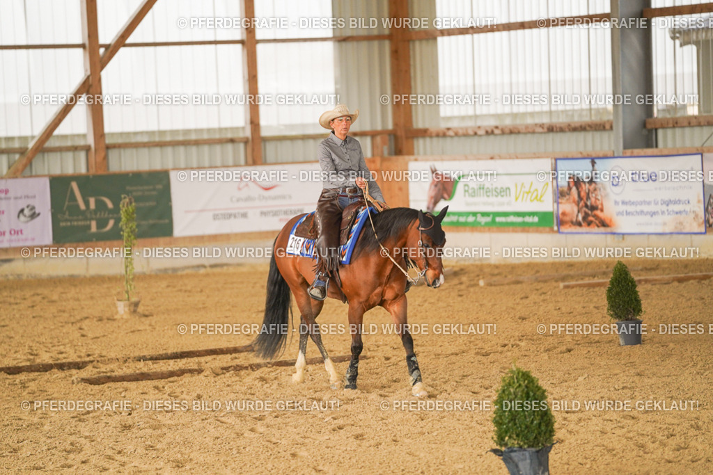 DSC02137 | Pferdegrafie