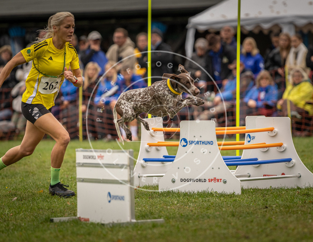 Pfotenfotografie_DV3A7224 | Hundefotografie, Tierfotograf, Pfotenfotografie, Fotoshooting Hund, Hunde Portrait, Hundesport, Hundeportraits, Heideshooting, Hunde, Sportfotograf, Hundefotograf, Turnierhundsport, THS,  - Realisiert mit Pictrs.com
