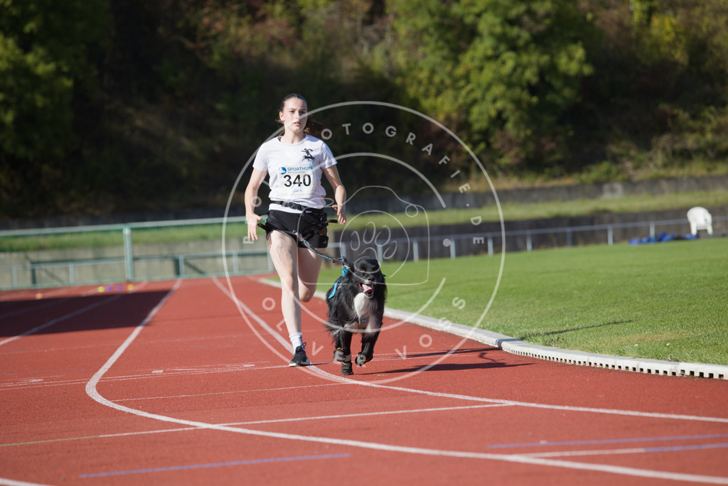 0L8A8859 | Hundefotografie, Tierfotograf, Pfotenfotografie, Fotoshooting Hund, Hunde Portrait, Hundesport, Hundeportraits, Heideshooting, Hunde, Sportfotograf, Hundefotograf, Turnierhundsport, THS,  - Realisiert mit Pictrs.com