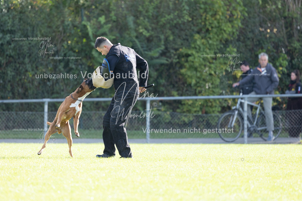 _16A6583 | Einzigartige Fotos von Hunden & Menschen –Actionfotos, Portraits, Vereinsaufnahmen & Paarshootings – authentisch, lebendig & mit Herz.