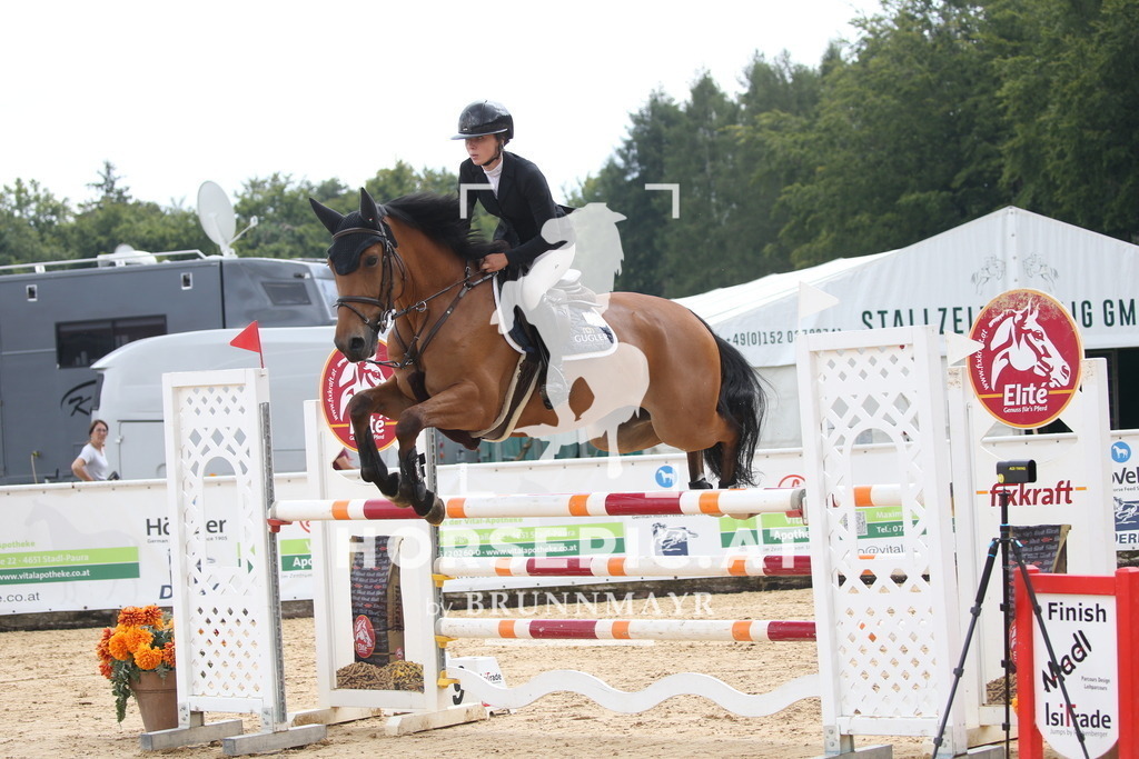 DL2Q2026 | Willkommen bei Brunnmayr - Design & Fotografie – Ihrem Spezialisten für Reitturniere und Pferdeveranstaltungen in Oberösterreich, Salzburg und Bayern! Seit über 17 Jahren sind wir leidenschaftlich dabei.