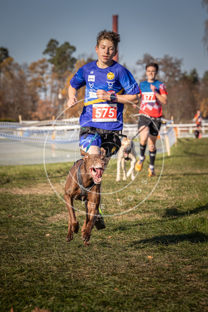 CaniXpix_0L8A8108 | Hundefotografie, Tierfotograf, Pfotenfotografie, Fotoshooting Hund, Hunde Portrait, Hundesport, Hundeportraits, Heideshooting, Hunde, Sportfotograf, Hundefotograf, Turnierhundsport, THS,  - Realisiert mit Pictrs.com
