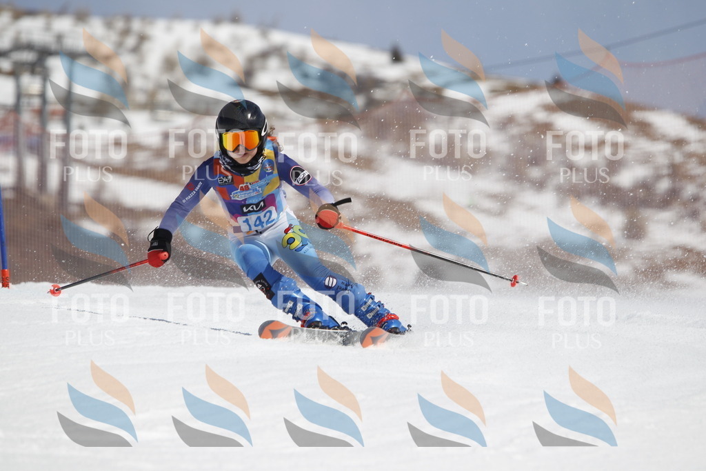 _U3G1064 | holidayphoto