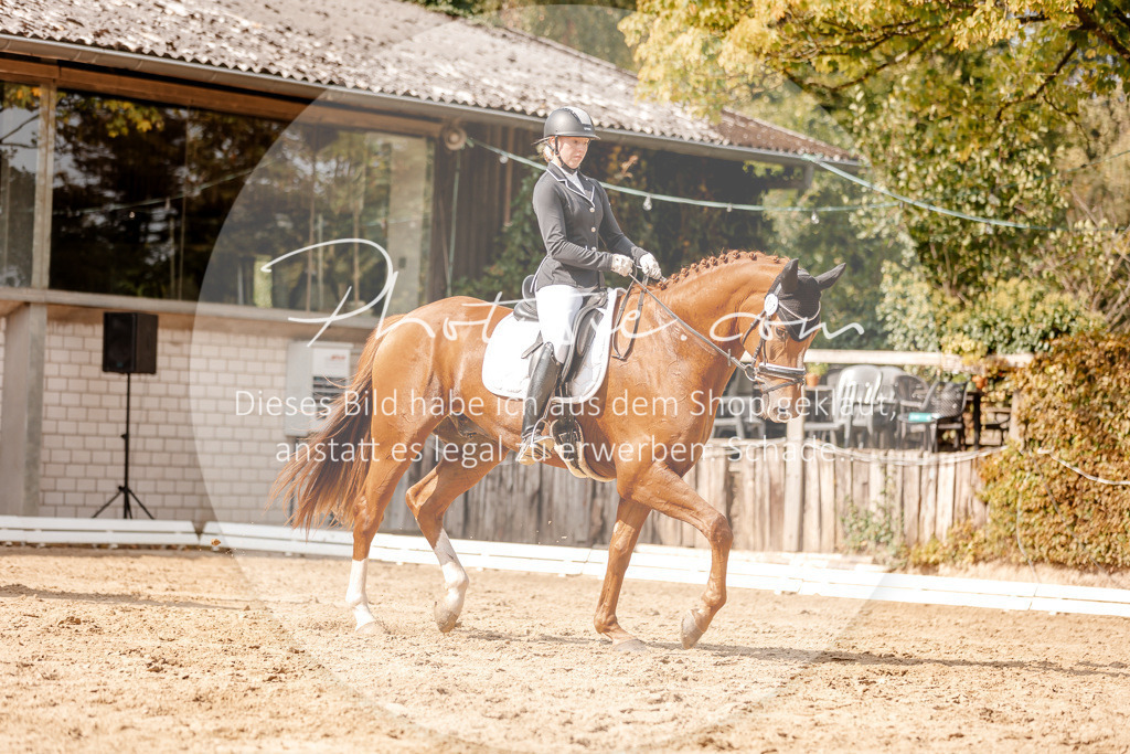 3I6A3762 | Stimmungsvolle Portraits und Reitsportfotografie im Ruhrgebiet und im Münsterland.

Pferdefotografie, Hundefotografie, Tierfotografie, Reportagen, Portraits von Tier und Mensch, Turnierfotografie in Bochum, Recklinghausen, Marl, Haltern am See, Dülmen.. - Realisiert mit Pictrs.com
