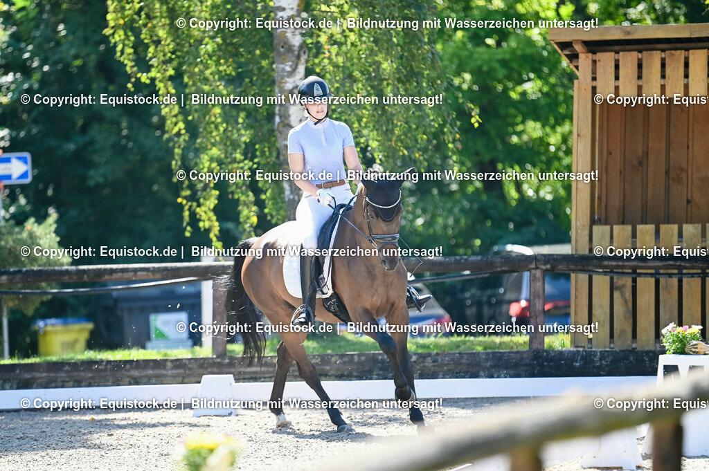 20230908_06_Dressur-L-Trense_0667 | equistock