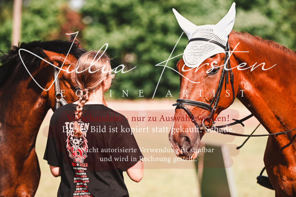 DSC_7385 | Pferde- und Turnierfotografie in Westsachsen. Pferdeportraits, Auftragszeichnungen und intuitive Kunst.