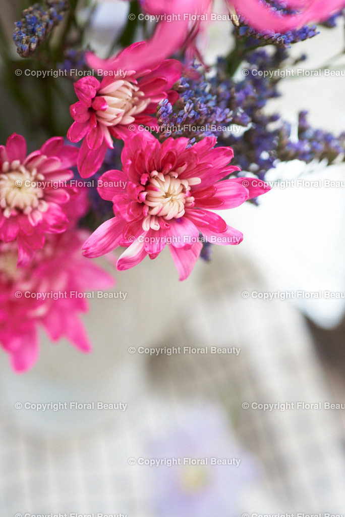 Pinker Strauß am Fenster | pinke und violette Blumen auf shabby Fensterbank, Nahaufnahme - Realisiert mit Pictrs.com