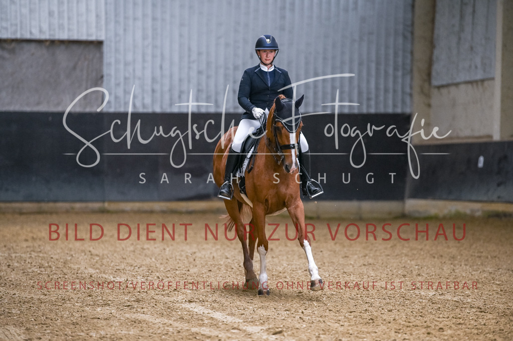 Schugtsche-Aluta25-56.Dressurprf.L1Kand.-129 | Schugtsche Fotografie - Realizzato con Pictrs.com