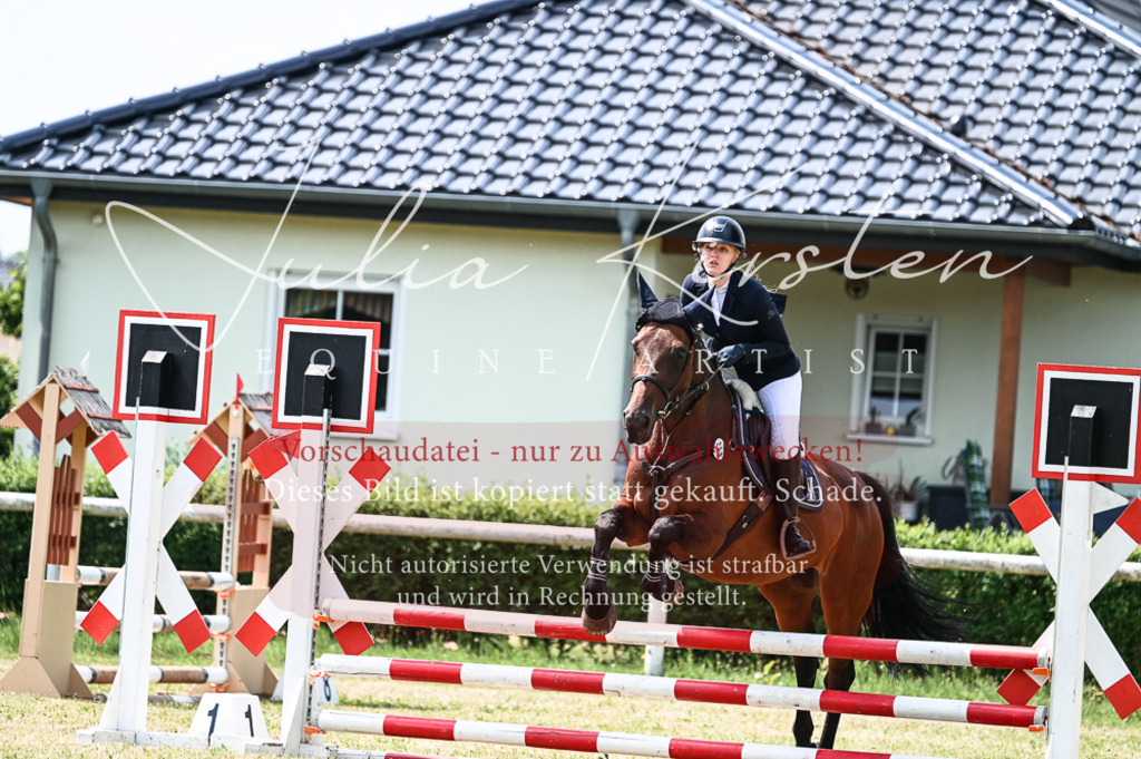 DSC_9103 | Pferde- und Turnierfotografie in Westsachsen. Pferdeportraits, Auftragszeichnungen und intuitive Kunst.