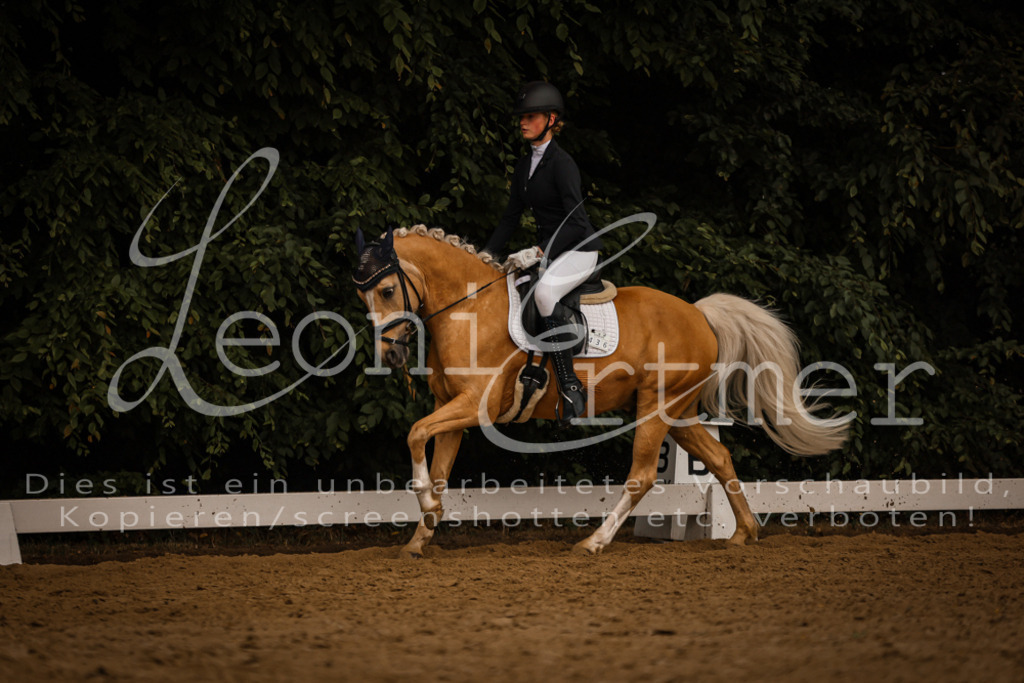 DoDrA00609 | Leoni Ertmer Photography - Realisiert mit Pictrs.com