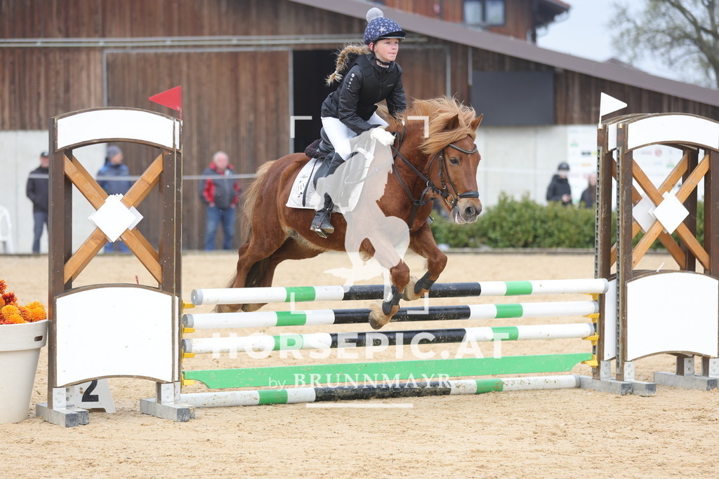 0P6A8691 | Willkommen bei Brunnmayr - Design & Fotografie – Ihrem Spezialisten für Reitturniere und Pferdeveranstaltungen in Oberösterreich, Salzburg und Bayern! Seit über 17 Jahren sind wir leidenschaftlich dabei.