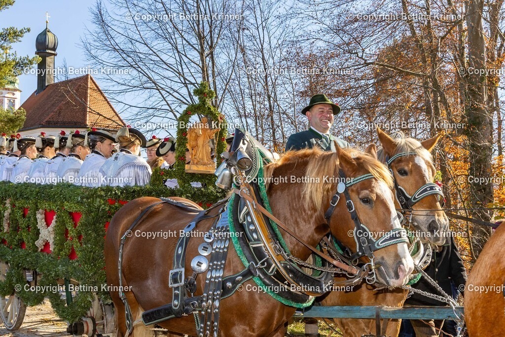 LBT25-1376 | foto-bettina-krinner - Realisiert mit Pictrs.com