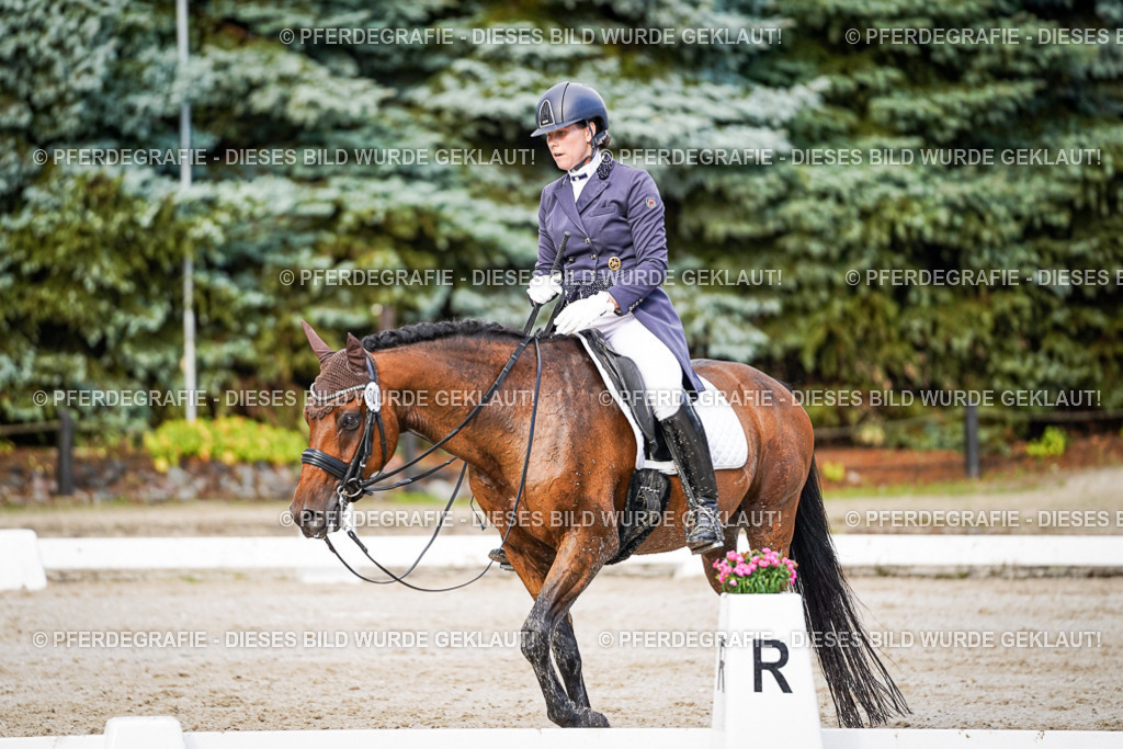 DSC00370 | Pferdegrafie