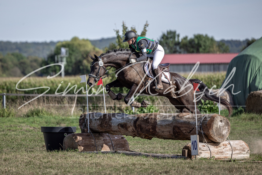 20250907-_3LI3253 | Tierfotografie Pferde, Hunde, Katzen, Haustiere.
Turnierfotografie Reitturniere, Reiten, Springreiten, Dressur in Hanau, dem Main-Kinzig-Kreis und dem Rhein-Main- Gebiet um Frankfurt
