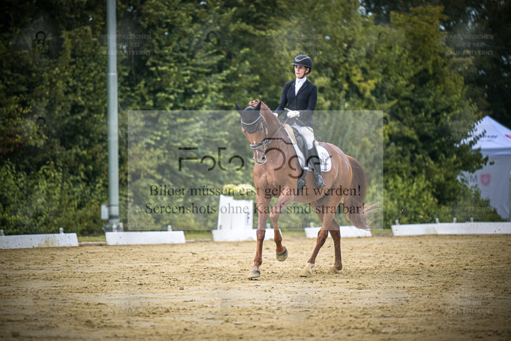 DOS_9459 | Entdecke hochwertige Reitturnierfotos von Foto Oger. Professionell, emotional und authentisch – jetzt Lieblingsmomente im Shop bestellen. - Realisiert mit Pictrs.com