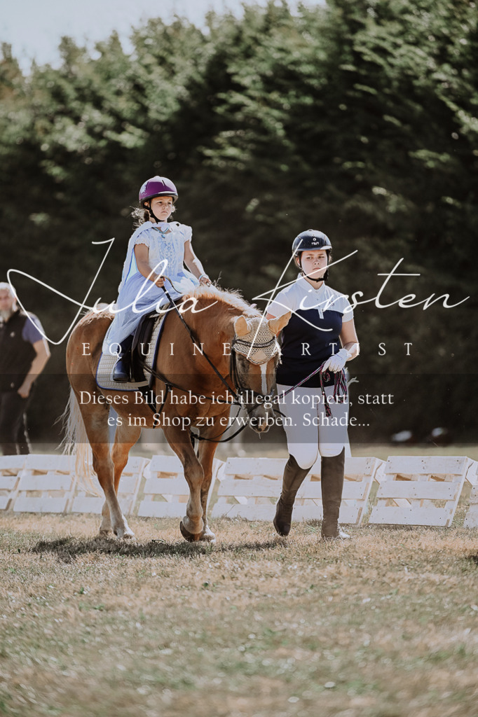 DSC_8838 | Pferde- und Turnierfotografie in Westsachsen. Pferdeportraits, Auftragszeichnungen und intuitive Kunst.