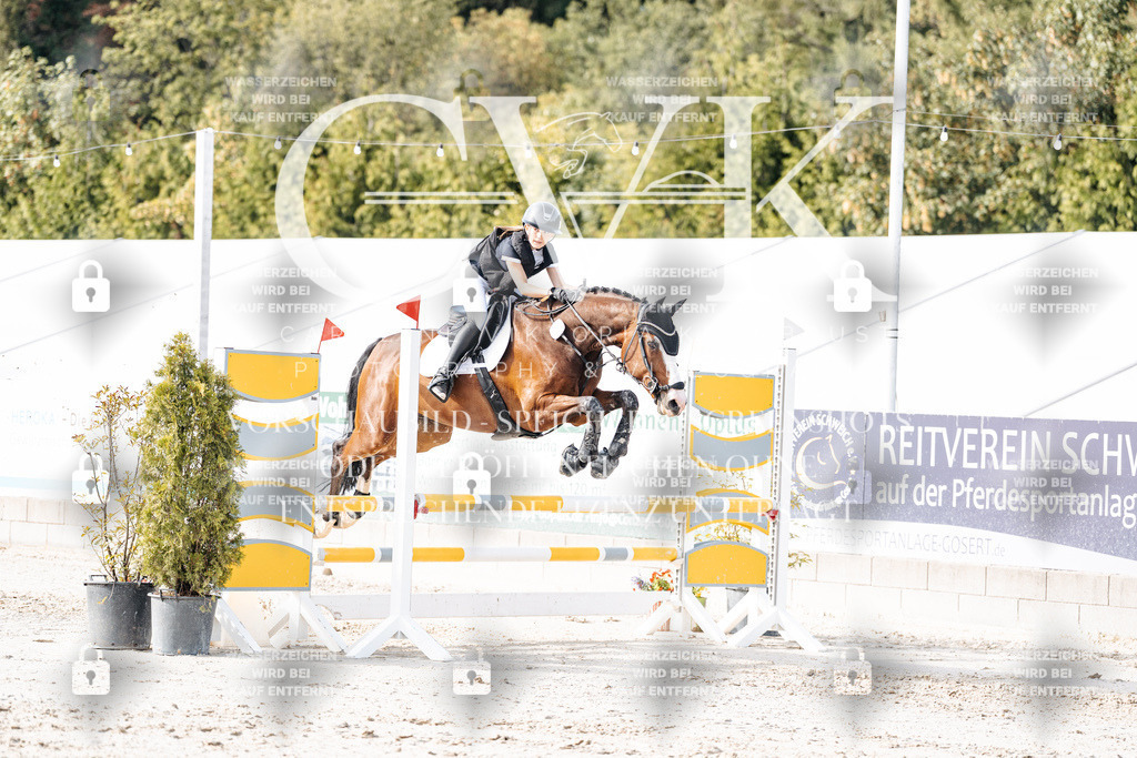 CK905772 | Turnierfotografie Pferdefotografie Trier Rheinland-Pfalz Pferdesport Reitsport Tierfotografie Sportfotografie Pferdevideo Pferdevideografie Equestrianvideography equestrianphotography  - Realisiert mit Pictrs.com