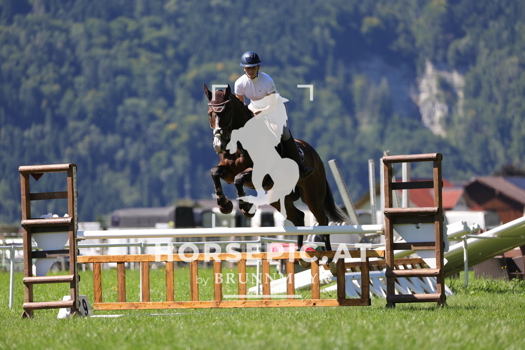 0P6A6501 | Willkommen bei Brunnmayr - Design & Fotografie – Ihrem Spezialisten für Reitturniere und Pferdeveranstaltungen in Oberösterreich, Salzburg und Bayern! Seit über 17 Jahren sind wir leidenschaftlich dabei.