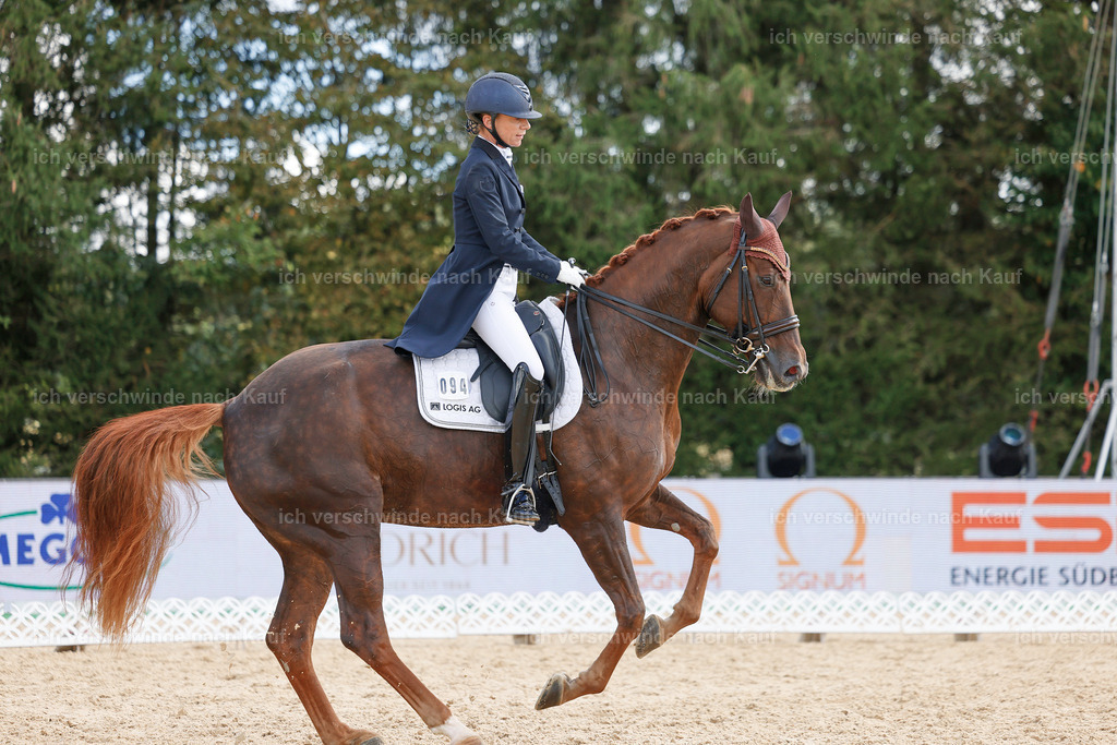 09_2-094-DRESSUR  S_  -StoibPH-5867 | working equitationturnier fotograf videograf stoibphotography marixx film working equitation deutschland reitsport turnierfotografie eventfotografie equestrian events