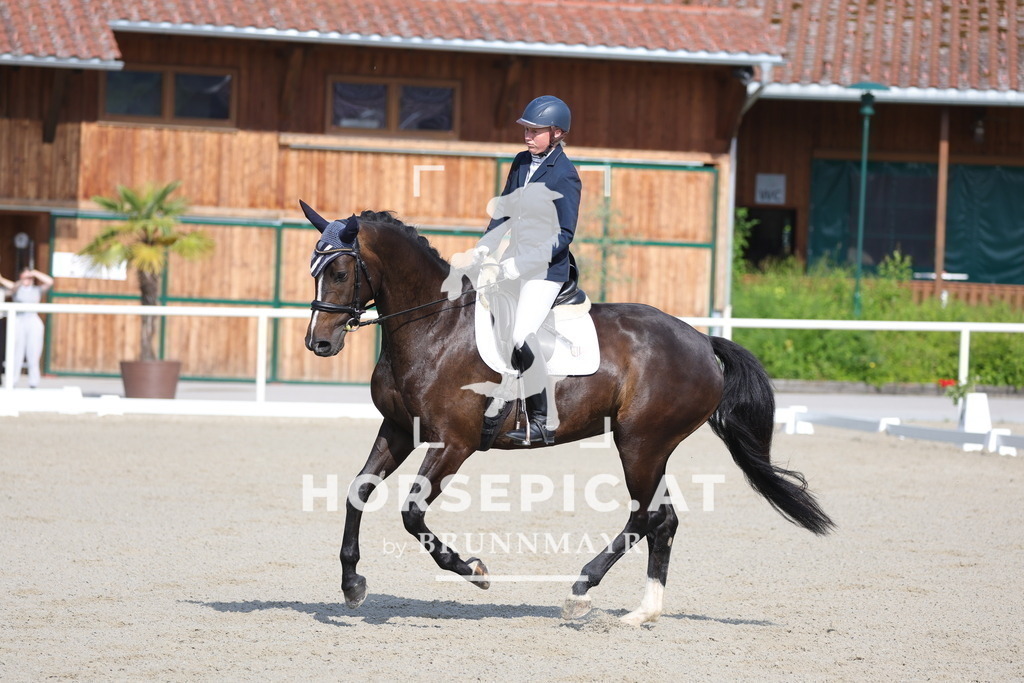 0P6A4548 | Willkommen bei Brunnmayr - Design & Fotografie – Ihrem Spezialisten für Reitturniere und Pferdeveranstaltungen in Oberösterreich, Salzburg und Bayern! Seit über 17 Jahren sind wir leidenschaftlich dabei.