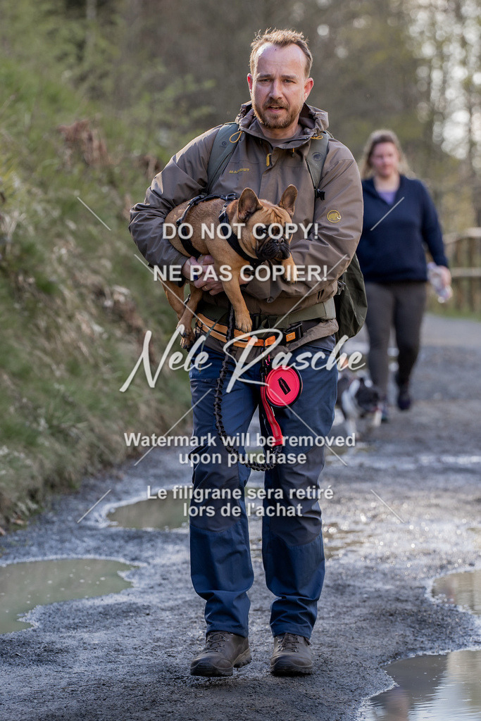 NR__1081 | nelerasche