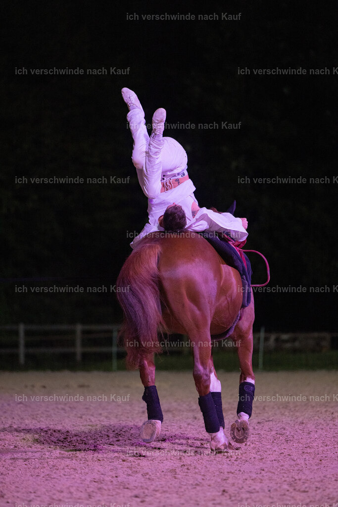 Gala-247 | working equitationturnier fotograf videograf stoibphotography marixx film working equitation deutschland reitsport turnierfotografie eventfotografie equestrian events