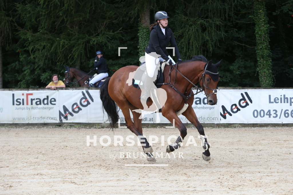 DL2Q0268 | Willkommen bei Brunnmayr - Design & Fotografie – Ihrem Spezialisten für Reitturniere und Pferdeveranstaltungen in Oberösterreich, Salzburg und Bayern! Seit über 17 Jahren sind wir leidenschaftlich dabei.