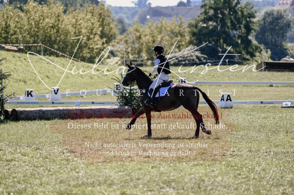 DSC_2763 | Pferde- und Turnierfotografie in Westsachsen. Pferdeportraits, Auftragszeichnungen und intuitive Kunst.