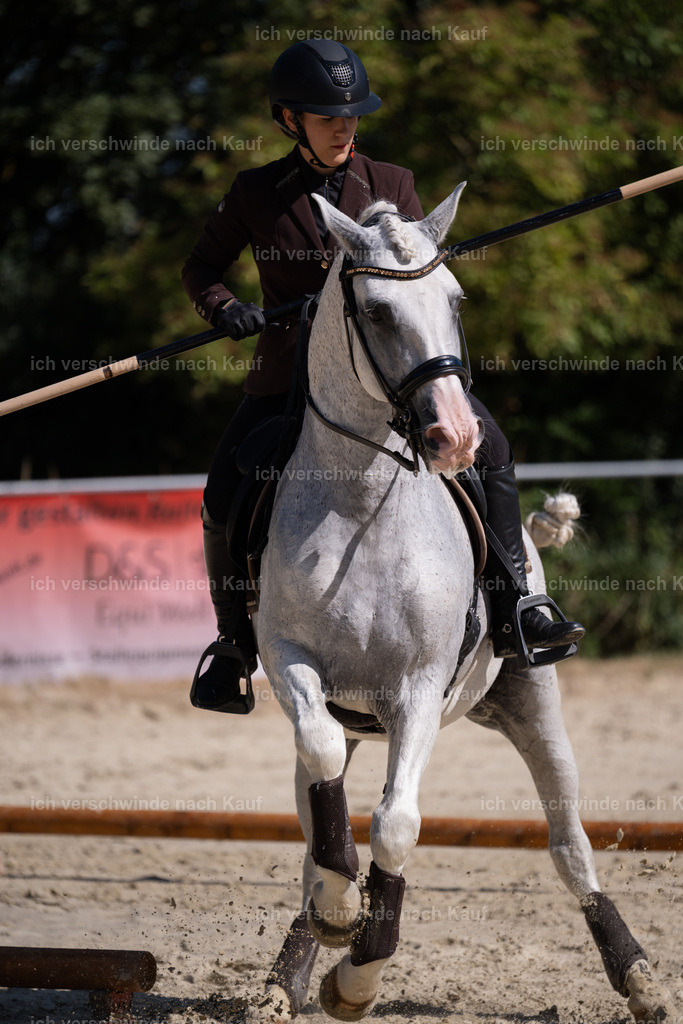 WM_ST_133_stoibphotography_SO10442 | working equitationturnier fotograf videograf stoibphotography marixx film working equitation deutschland reitsport turnierfotografie eventfotografie equestrian events