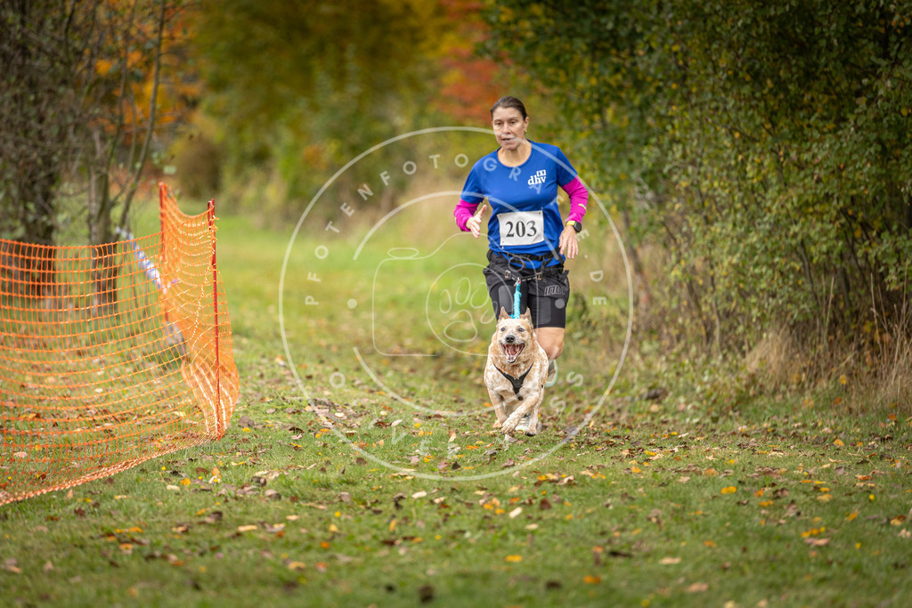 Pfotenfotografie_DV3A4085 | Hundefotografie, Tierfotograf, Pfotenfotografie, Fotoshooting Hund, Hunde Portrait, Hundesport, Hundeportraits, Heideshooting, Hunde, Sportfotograf, Hundefotograf, Turnierhundsport, THS,  - Realisiert mit Pictrs.com