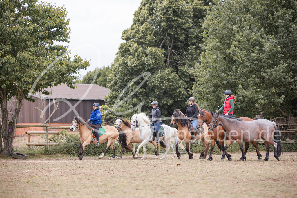 846A0378 | fotosleben - Realisiert mit Pictrs.com