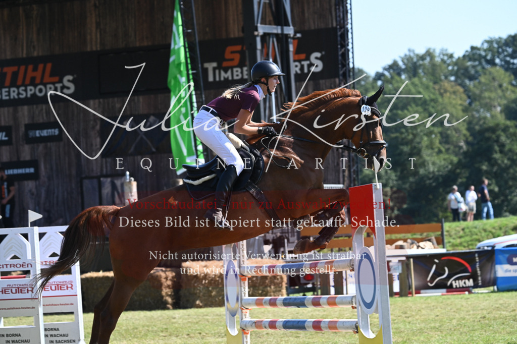 DSC_6422 | Pferde- und Turnierfotografie in Westsachsen. Pferdeportraits, Auftragszeichnungen und intuitive Kunst.