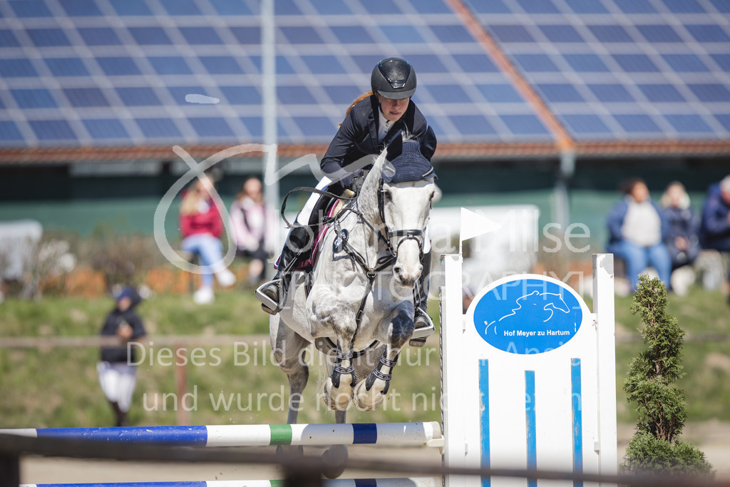 220416_3_A-Springen2-443 | Frühlingsfest der Pferde
Herford
16.April 2022
03/2 Sprigprüfung mit steigenden Anforderungen Kl. A** geschlossen 44-481 RLP