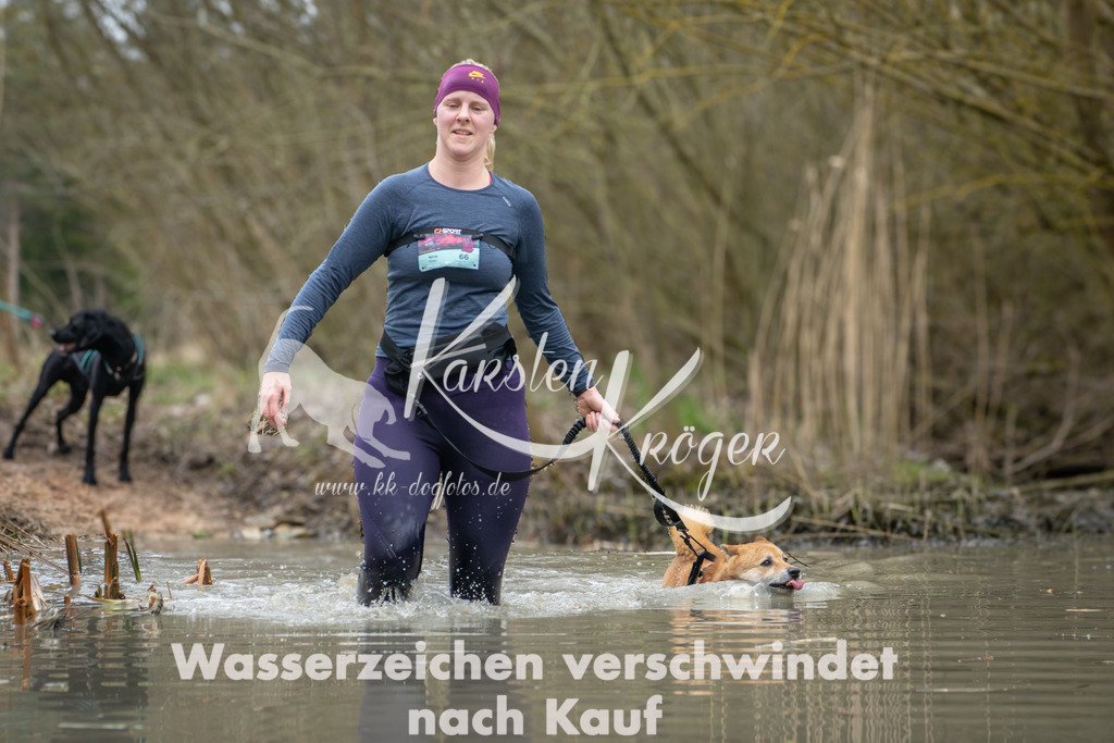 1340_ZZ91297 | kk-dogfotos