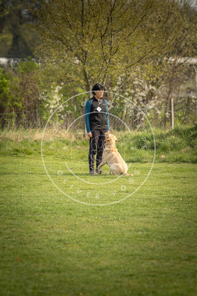 Pfotenfotografie_DV3A4997 | Hundefotografie, Tierfotograf, Pfotenfotografie, Fotoshooting Hund, Hunde Portrait, Hundesport, Hundeportraits, Heideshooting, Hunde, Sportfotograf, Hundefotograf, Turnierhundsport, THS,  - Realisiert mit Pictrs.com