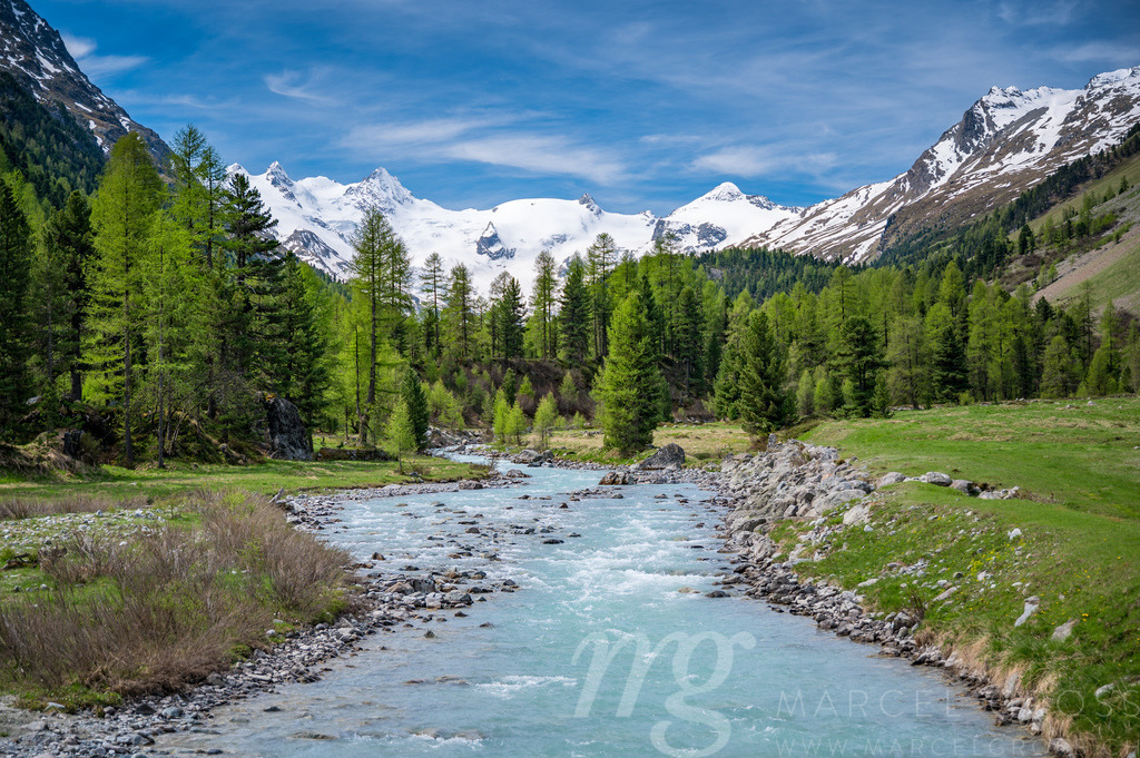Wildbach Ova da Roseg im naturbelassenen Val Roseg, Engadin | Die ideale Geschenkidee für Naturliebhaber. Naturbilder von Marcel Gross Photography für ihr Zuhause in den verschiedensten Formaten und Materialien. - Realisiert mit Pictrs.com