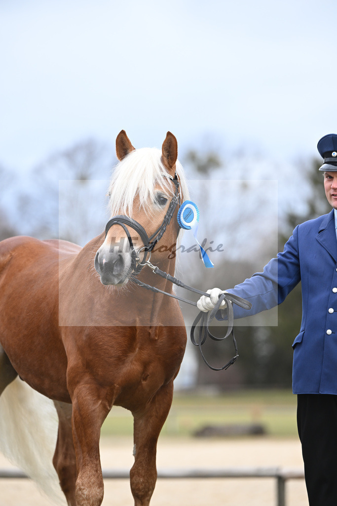 Kat-Nr. 16 v. Sturmdrang_HLG Schwaiganger_2230407 | hf-fotografie - Realisiert mit Pictrs.com