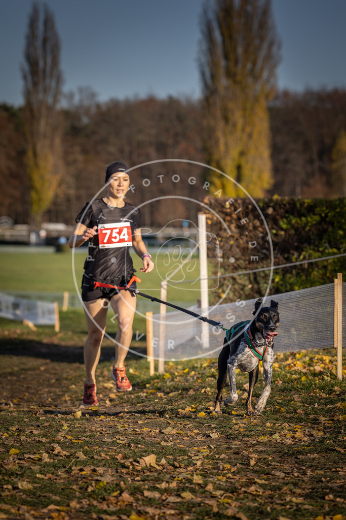 CaniXpix_DV3A2523 | Hundefotografie, Tierfotograf, Pfotenfotografie, Fotoshooting Hund, Hunde Portrait, Hundesport, Hundeportraits, Heideshooting, Hunde, Sportfotograf, Hundefotograf, Turnierhundsport, THS,  - Realisiert mit Pictrs.com