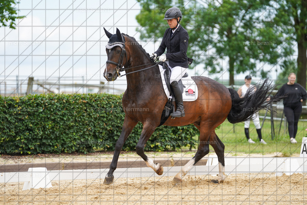 20240630-FAH02047 | Turnierbilder Schwabmünchen, Dressurbilder, Springreitturnier, Reitsportbilder, Turnierfotografen Bayern, Turnierfotograf