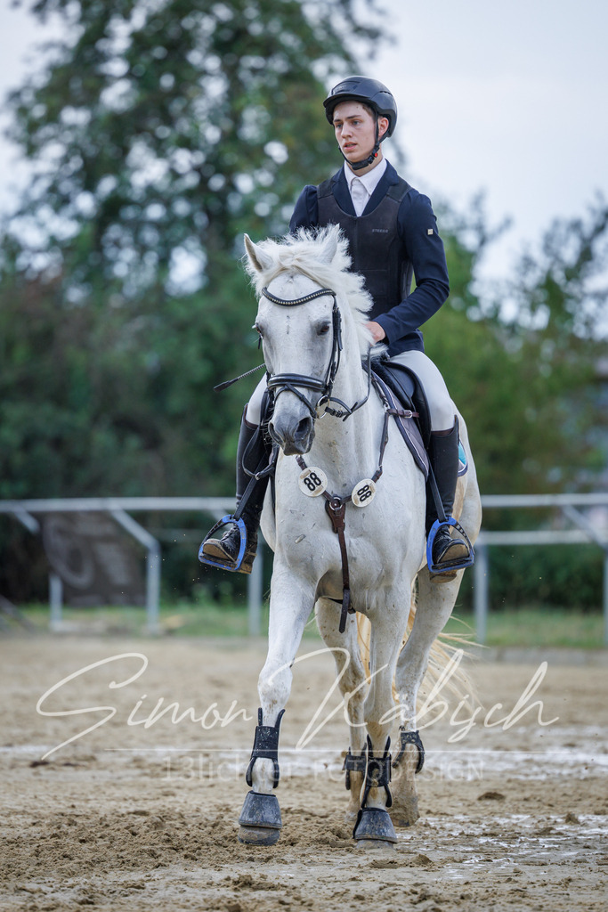 20260705-_3LI4321 | Tierfotografie Pferde, Hunde, Katzen, Haustiere.
Turnierfotografie Reitturniere, Reiten, Springreiten, Dressur in Hanau, dem Main-Kinzig-Kreis und dem Rhein-Main- Gebiet um Frankfurt