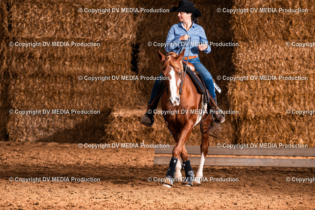 Balingen Tag 1-910 | dv-media-shop - Realisiert mit Pictrs.com