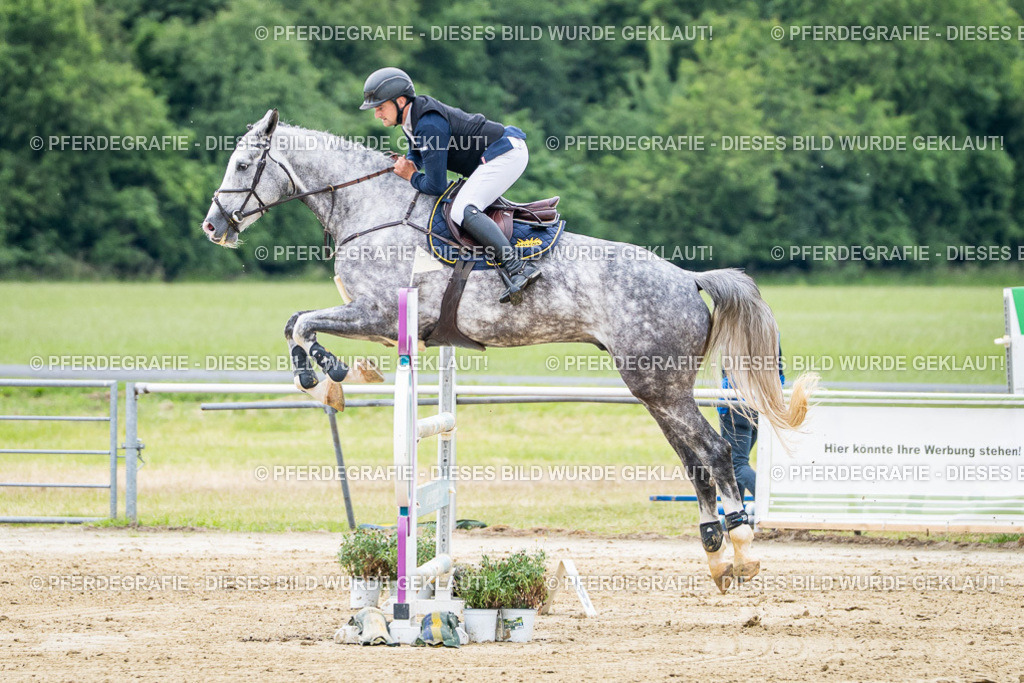 DSC05391 | Pferdegrafie