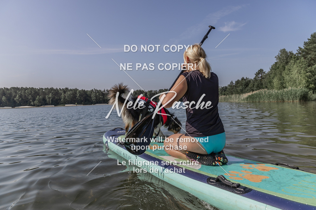 BUHU_SUP_153 | nelerasche