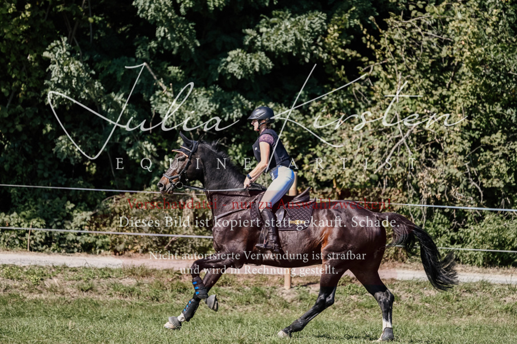 DSC_2912 | Pferde- und Turnierfotografie in Westsachsen. Pferdeportraits, Auftragszeichnungen und intuitive Kunst.