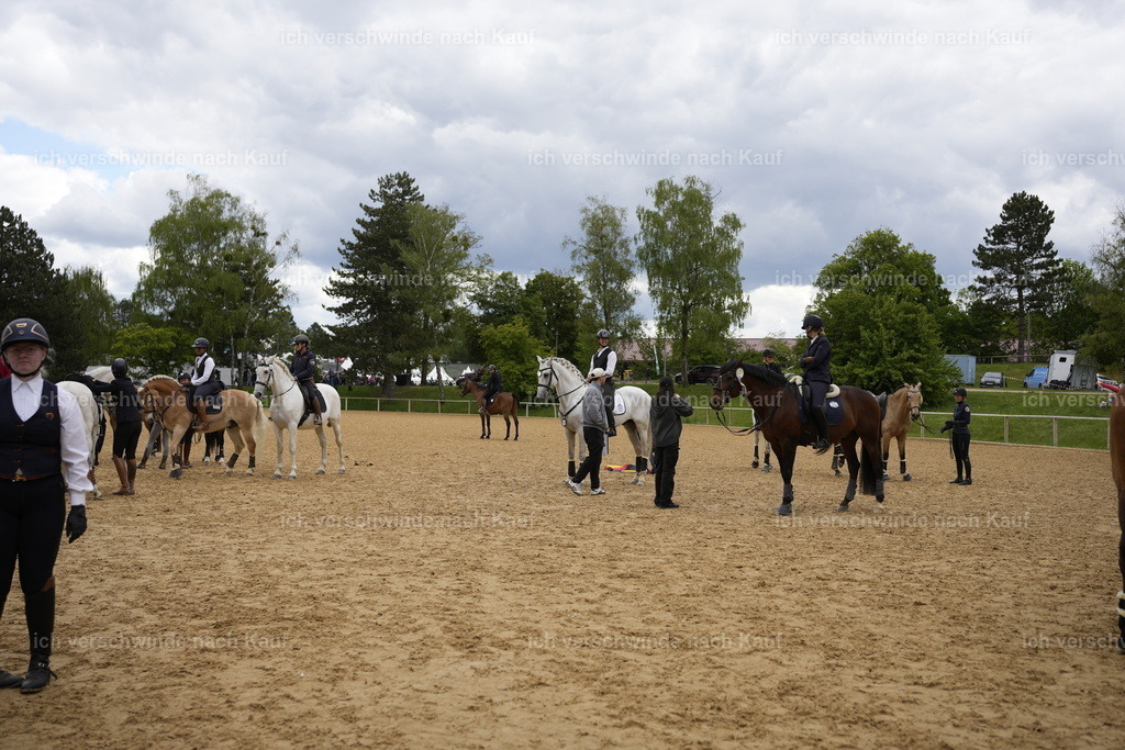 PI26_BTS_COW_Stoibphotography_A749725.JPG | working equitationturnier fotograf videograf stoibphotography marixx film working equitation deutschland reitsport turnierfotografie eventfotografie equestrian events